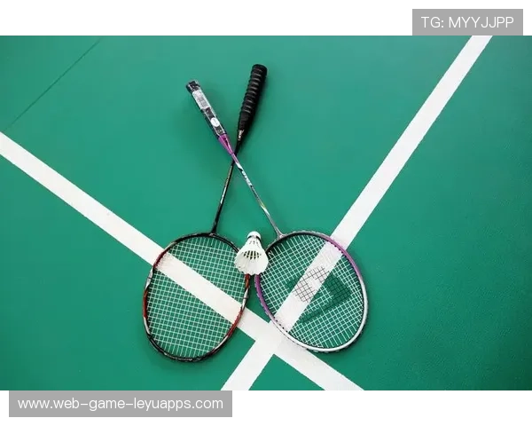 托球（tchoukball）新人赛引发本土运动热潮